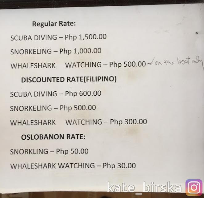 Официальные цены на плавание с акулами