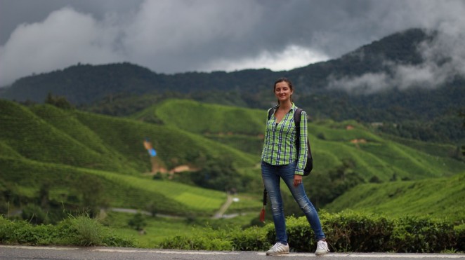 Чайный плантации BOH, Малайзия