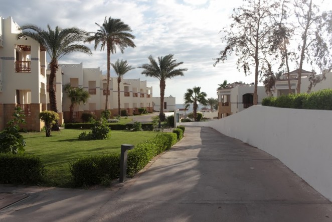 Otium Amphoras Hotel Sharm 5