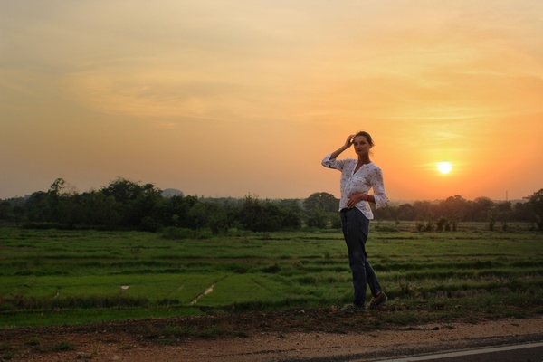 Закат на рисовом поле