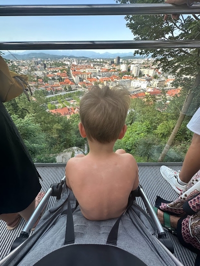Люблянский замок, Словения